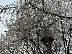 -北京奥林匹克公园