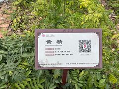-马王堆汉墓遗址
