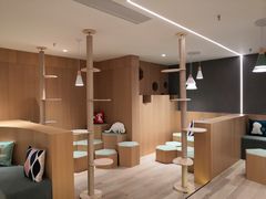 -CAT’S MEWSTAR CAFE·喵星球猫屋(晴湾咖啡店)