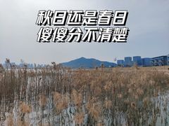 -青山湖景区