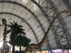 -辽宁古生物博物馆