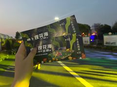 -荷兰花海