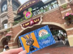 -上海迪士尼度假区