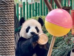 -大连森林动物园