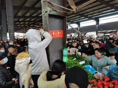 -树木岭集贸市场(劳动东路)