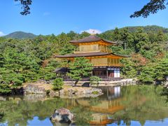 -豆政(金閣寺境内売店)