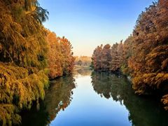 -上海海湾国家森林公园