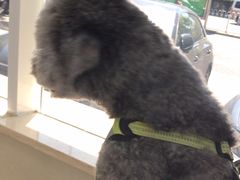 -北京观赏动物医院·24小时大型综合·猫专科·异宠专科