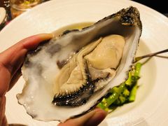 -恰餐厅及酒吧 CHAR Bar & Grill (北京丽都皇冠假日店)