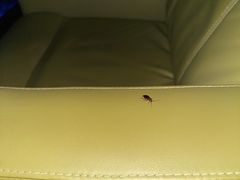 -幸福蓝海国际影城(扬名IMAX店)