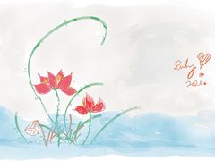 -Apple零售店(成都太古里店)