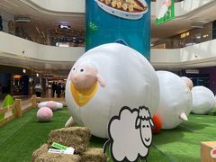-阳光天地