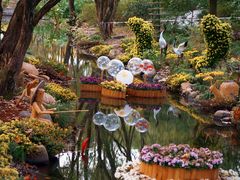 -上海共青森林公园