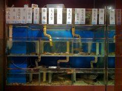 生猛海鲜-官也街澳门火锅(新源里店)