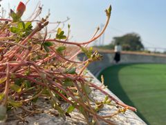 -镇江润扬大桥酒店