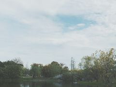 -上海长兴岛郊野公园