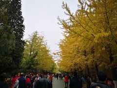 -辽宁大学(崇山校区)