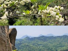 -石岛赤山风景区