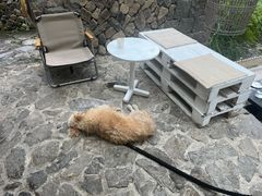 -MOJ coffee(瓯海泽雅水碓坑店)