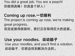 -菠萝国际教育专注Alevel·IGCSE·IB·AP·托福雅思培训辅导(静安校区)