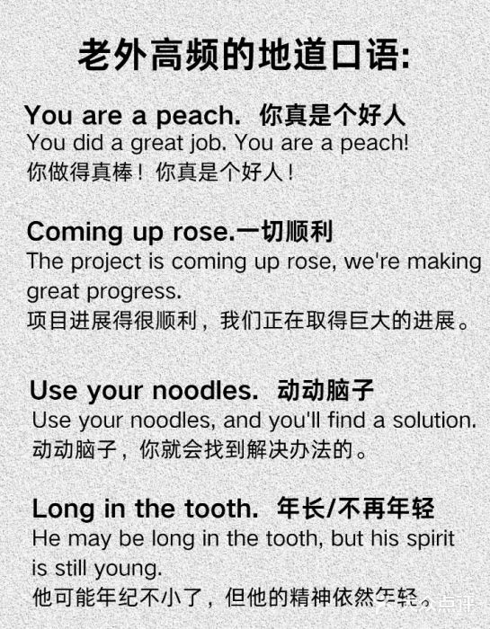 菠萝国际教育专注Alevel·IGCSE·IB·AP·托福雅思培训辅导(静安校区)图片
