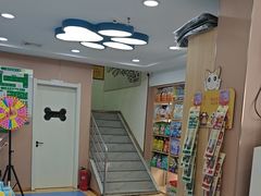 -天使宠物医院·犬猫分诊(彩虹店)