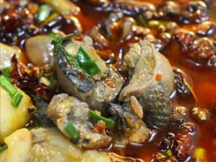 -黑竹香鸡(营和巷店)