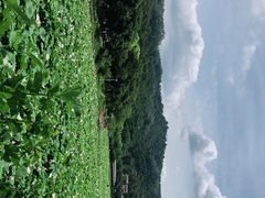 -红山村