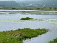 -腾冲北海湿地