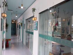 -蓝菲女子能量站·舞蹈·瑜伽·体塑