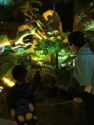 点击看大图 -恐龙探索乐园(磁器口店)