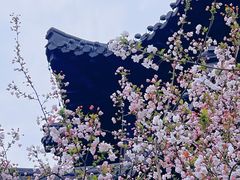 -莫愁湖公园