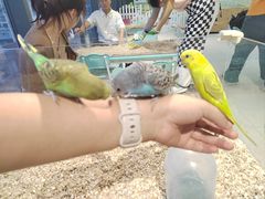-怪兽屋·羊驼·猫咖·狗咖(俊华广场店)