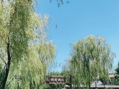 -潇湘甲鱼村(清河店)