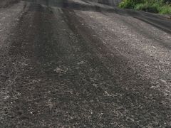 -玉苍山国家森林公园