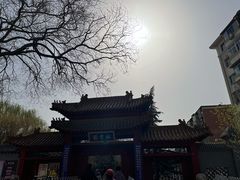 -桃花堤公园