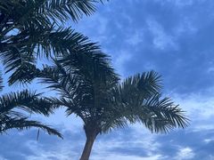 -苏州湾梦幻水世界