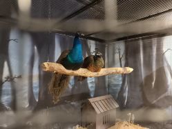 -酷嗒动物文化乐园(cutezoo西溪乐天城店)