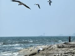 -老虎石海上公园