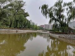 -迎泽公园