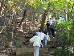 -紫金山山顶公园