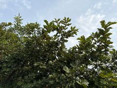 -沈阳辉山风景区