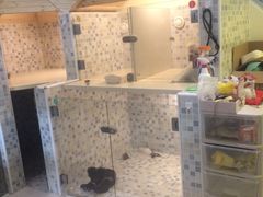 -Oh My Dog宠物沙龙(伊珊娜皮毛护理店)