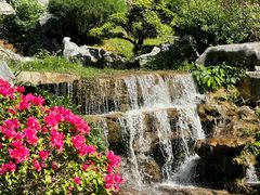 -东莞植物园