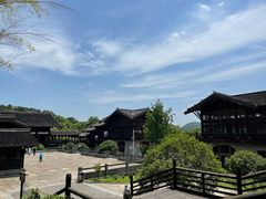 -大唐贡茶院