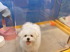 -狗道宠物(常熟印象城店)