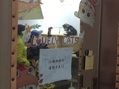 -同至人购物中心(朝阳街店)