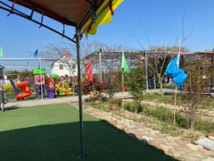 -小鱼草莓采摘园农家乐·小鱼餐厅