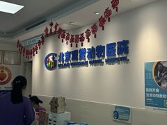 -北京观赏动物医院·24小时大型综合·猫专科·异宠专科