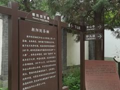 -阳台山自然风景区